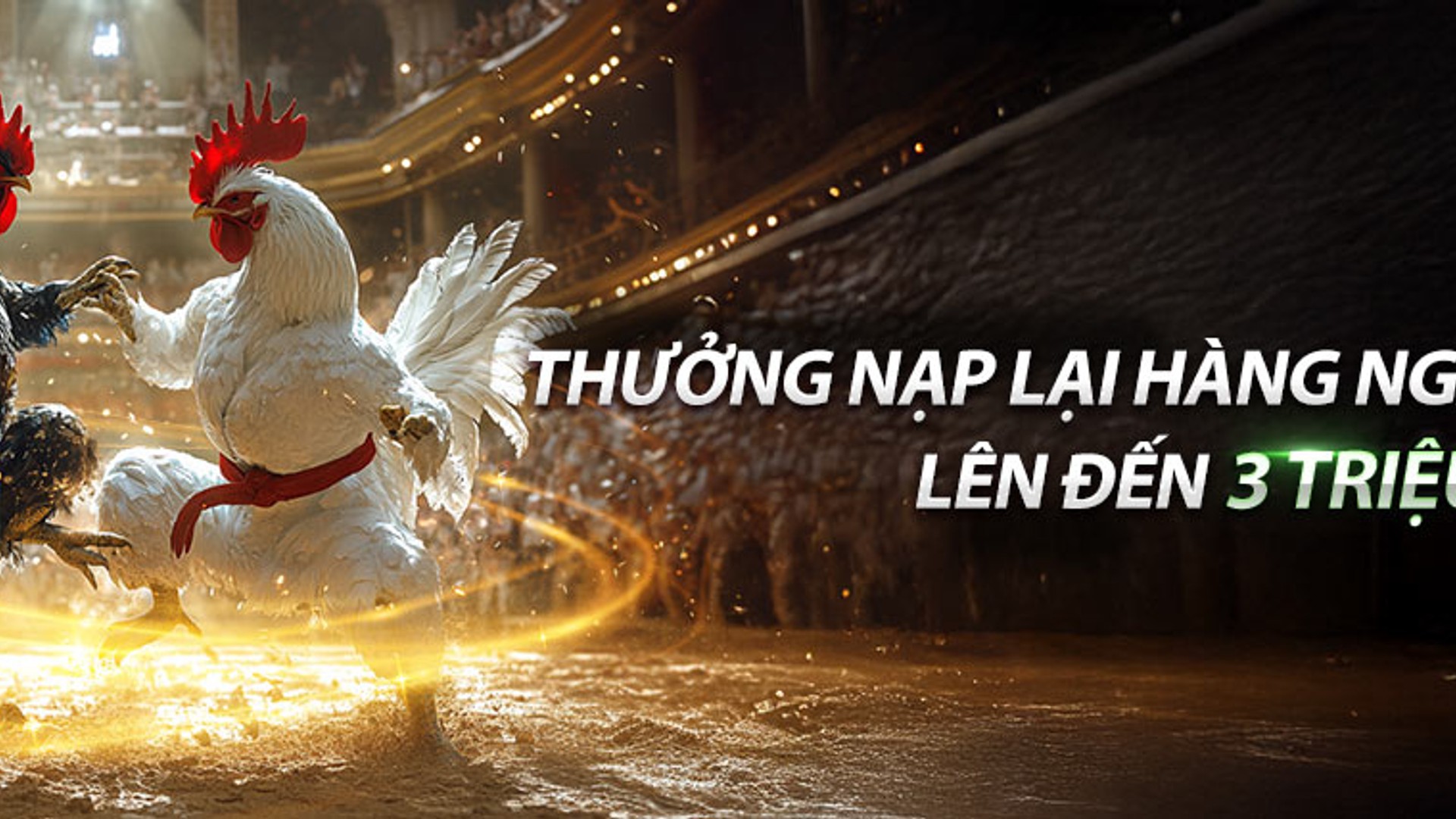 Trận đá gà kịch tính tại 98 win