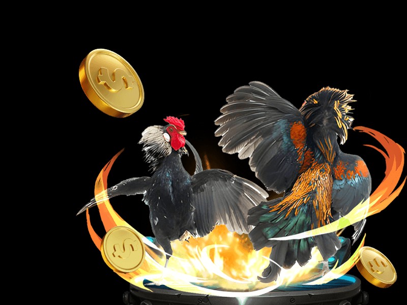 Đá gà Philippines (Sabong)