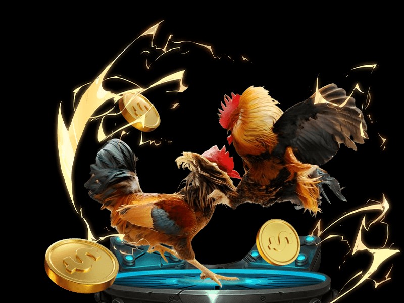 Đá gà cựa sắt Việt Nam